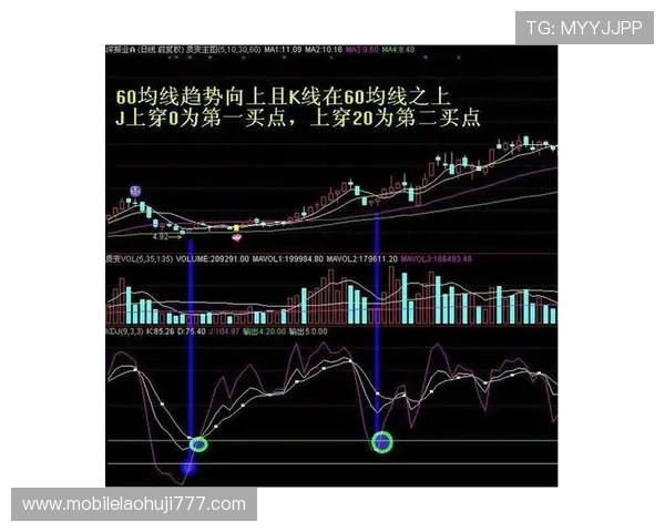 掌握老虎机如何赢的技巧让你在娱乐中轻松实现财富增值的实用建议
