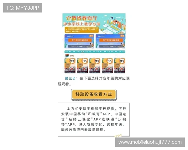 新手如何顺利进行老虎机线上开户操作流程全方位指南